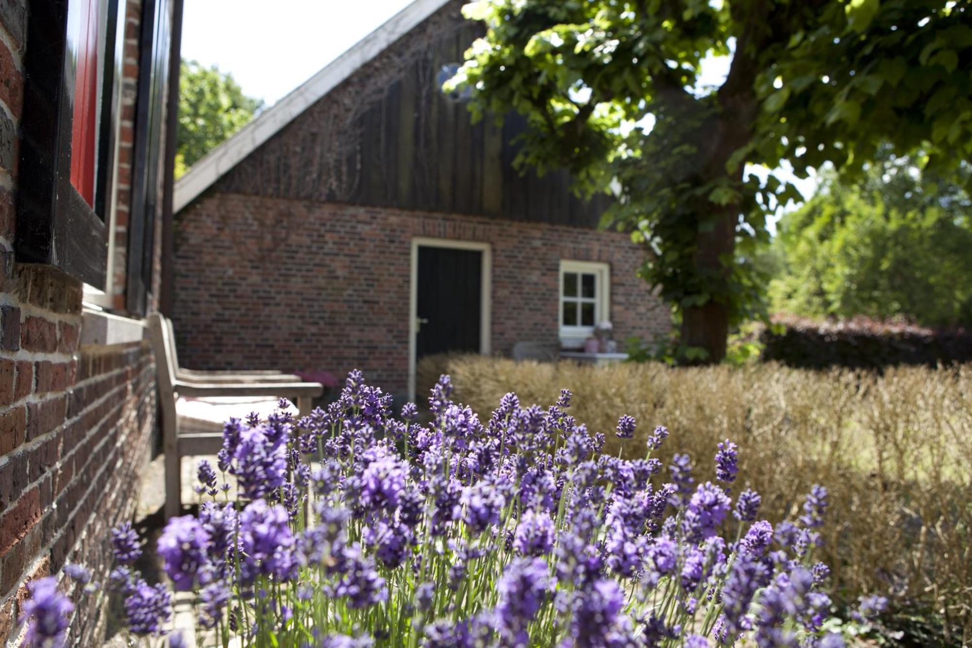 Klein Wolterinck Villa Haaksbergen Bagian luar foto