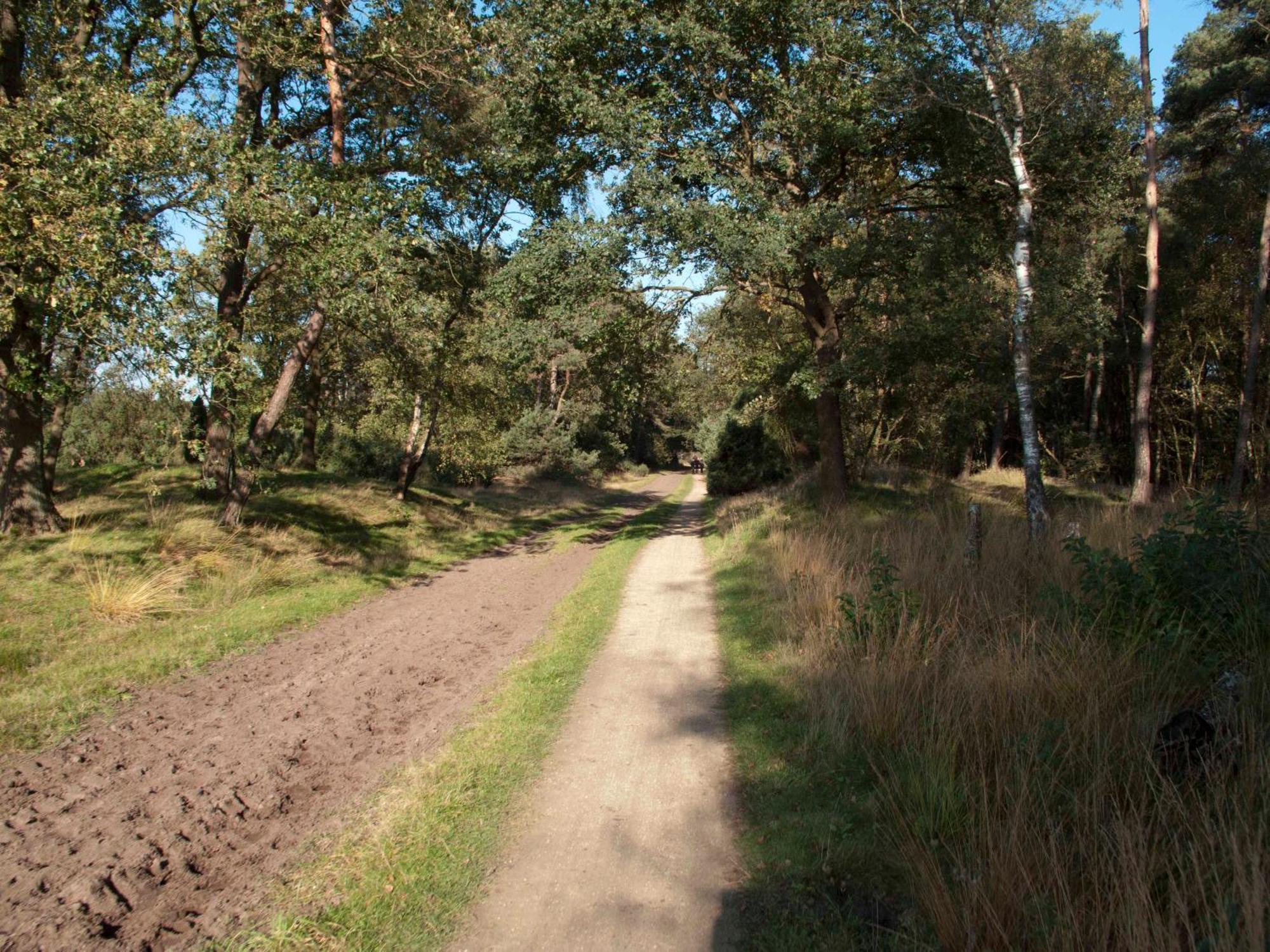 Klein Wolterinck Villa Haaksbergen Bagian luar foto